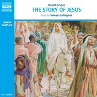 The Story of Jesus - David Angus