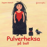 Pulverheksa på ball - Ingunn Aamodt