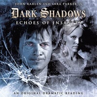 Dark Shadows, 8: Echoes of Insanity (Unabridged) - D. Lynn Smith