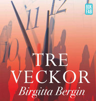 Tre veckor - Birgitta Bergin