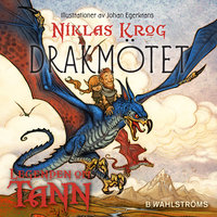 Drakmötet - Niklas Krog