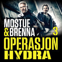 Operasjon Hydra - Sigbjørn Mostue, Johnny Brenna
