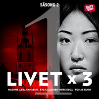 Livet x 3 - säsong 2 del 1 - Tomas Blom, Magnus Abrahamsson, Eva Callenbo Motsieloa