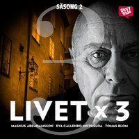 Livet x 3 - säsong 2 del 3 - Tomas Blom, Magnus Abrahamsson, Eva Callenbo Motsieloa