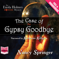 The Case of the Gypsy Goodbye - Nancy Springer