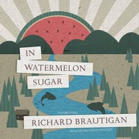 In Watermelon Sugar