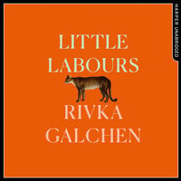 Little Labours - Rivka Galchen