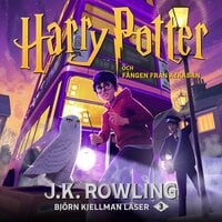 Harry Potter och Fången från Azkaban - J.K. Rowling