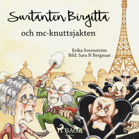 Surtanten Birgitta och mc-knuttsjakten - Erika Svernström