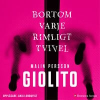 Bortom varje rimligt tvivel - Malin Persson Giolito
