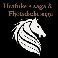 Hrafnkels saga og Fljótsdæla saga - Óþekktur