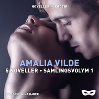 Amalia Vilde 5 noveller samlingsvolym - Amalia Vilde