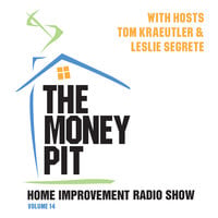 The Money Pit, Vol. 14 - Tom Kraeutler, Leslie Segrete