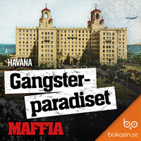 Gangsterparadiset - Bokasin