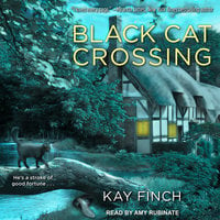 Black Cat Crossing - Kay Finch