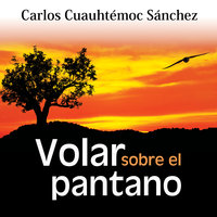 Volar sobre el pantano: A veces tocar fondo es inevitable - Carlos Cuauhtémoc Sánchez
