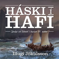 Háski í hafi - Sjóslys við Ísland í byrjun 20. aldar - Illugi Jökulsson