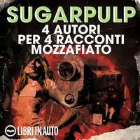 Sugarpulp - Elena Girardin, Carlo Callegari, Pietro Parolin, Matteo Righetto
