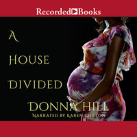 A House Divided - Donna Hill