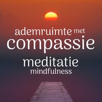 Ademruimte met Compassie: Mindfulness Meditatie - Suzan van der Goes