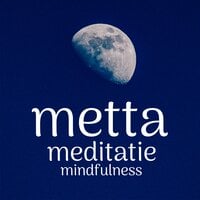 Metta Meditatie: Mindfulness - Suzan van der Goes