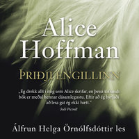 Þriðji engillinn - Alice Hoffman