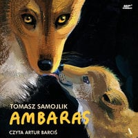 AMBARAS - Tomasz Samojlik