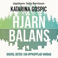 Hjärnbalans - Digital detox i en uppkopplad vardag - Katarina Gospic