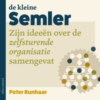 De kleine Semler: Zijn Semco-aanpak samengevat - Peter Runhaar