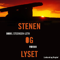 Stenen og lyset - Bodil Steensen-Leth
