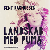 Landskab med puma - Bent Rasmussen