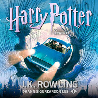 Harry Potter og leyniklefinn - J.K. Rowling
