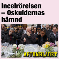 Incelrörelsen – Oskuldernas hämnd - Gunilla Granqvist, Aftonbladet