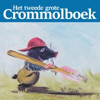 Het tweede grote Crommolboek - Henk den Hartog