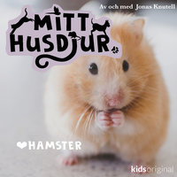 Mitt husdjur: Hamster - Jonas Knutell