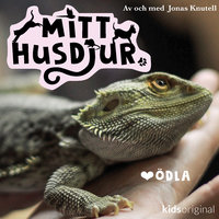 Mitt husdjur: Ödla - Jonas Knutell