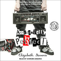 Accidentally Perfect - Elizabeth Stevens