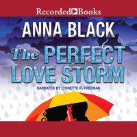 The Perfect Love Storm - Anna Black