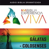 NVI Biblia Experiencia Viva: Gálatas-Colosenses