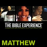 Inspired By … The Bible Experience Audio Bible - Today's New International Version, TNIV: (29) Matthew - Zondervan