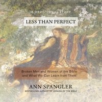 Less Than Perfect - Ann Spangler