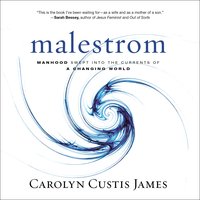 Malestrom: Manhood Swept into the Currents of a Changing World - Carolyn Custis James