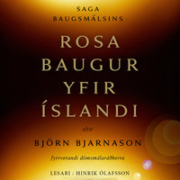 Rosabaugur yfir Íslandi - Björn Bjarnason