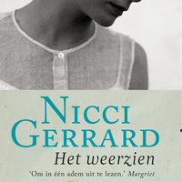 Het weerzien: Een prachtig verhaal over vriendschap, liefde, loyaliteit en de kracht van herinneringen - Nicci Gerrard