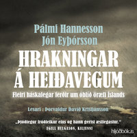 Hrakningar á heiðarvegum - Fleiri háskalegar ferðir um óblíð öræfi Íslands - Jón Eyþórsson, Pálmi Hannesson