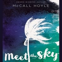 Meet the Sky - McCall Hoyle