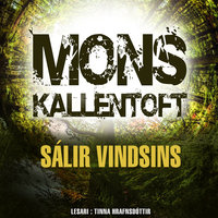 Sálir vindsins - Mons Kallentoft