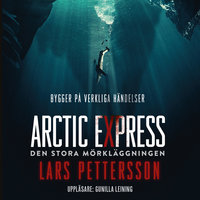 Arctic Express : Den stora mörkläggningen - Lars Pettersson