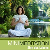 Mini Meditation: Sinn des Lebens: Entspannung, Abbau von Stress & Selbsterkenntnis - Andreas Schütz