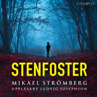 Stenfoster - Mikael StrÃ¶mberg